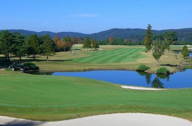 スポットの写真