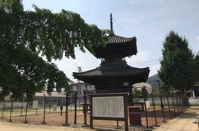 スポットの写真