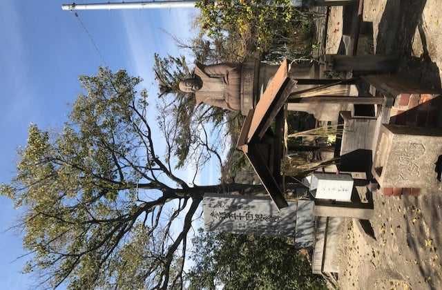 スポットの写真