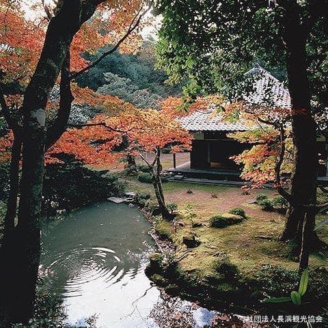 【2022年】近江孤篷庵の紅葉