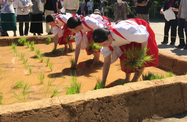 スポットの写真