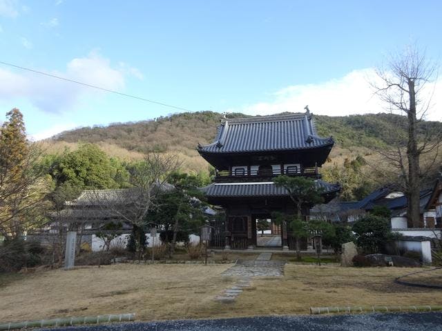 スポットの写真