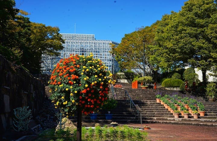 広島市植物公園