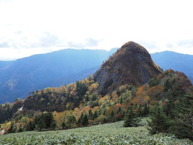 【2022年】瓶ヶ森・子持権現山の紅葉