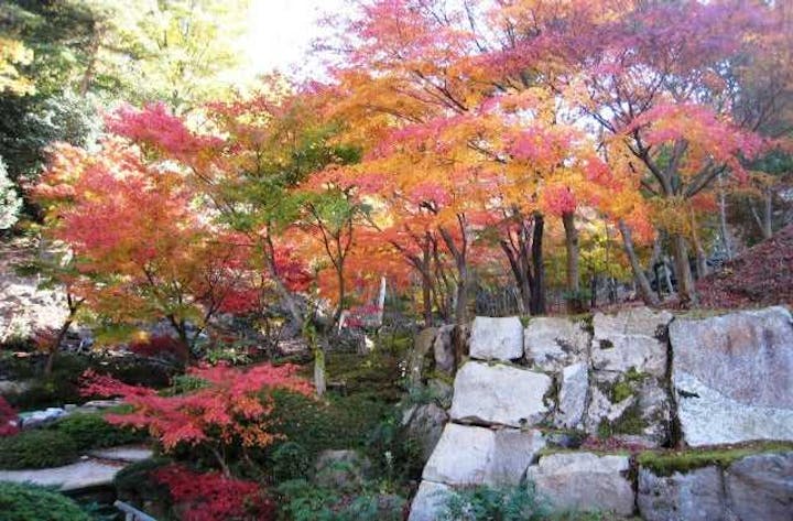 広島市森林公園