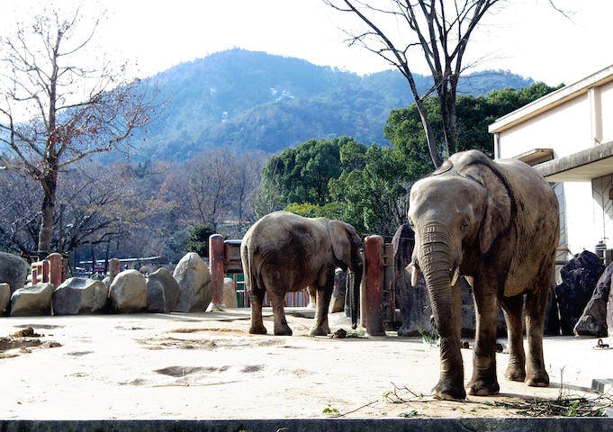 広島市安佐動物公園