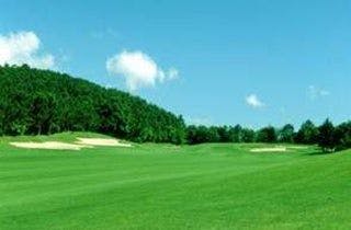 スポットの写真