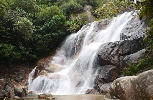 スポットの写真