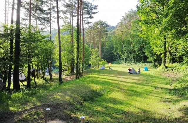 スポットの写真