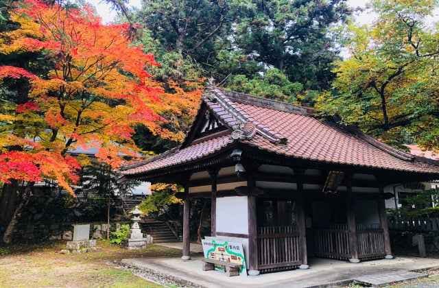 スポットの写真