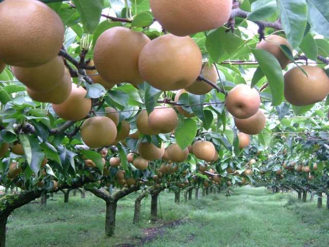 スポットの写真