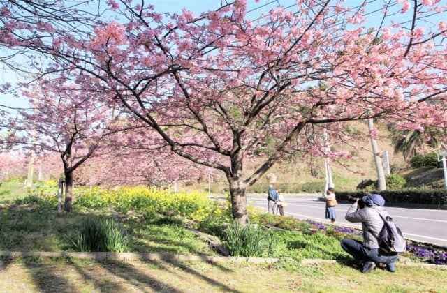 スポットの写真