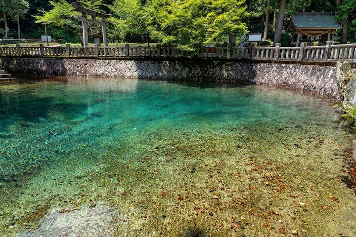 別府弁天池