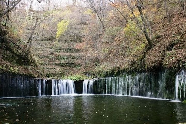 【2022年】軽井沢（白糸の滝）の紅葉