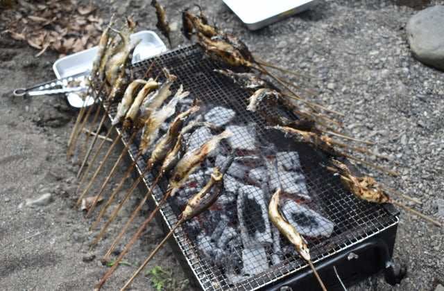 スポットの写真