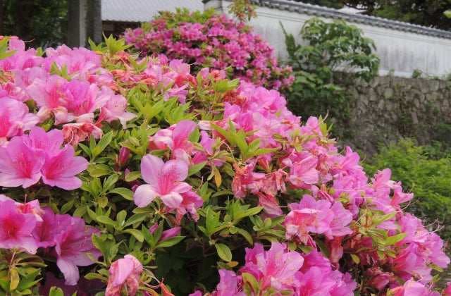 スポットの写真