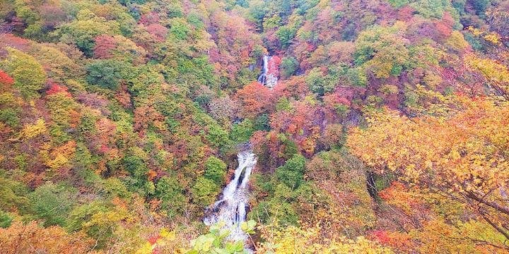 【2022年】日光（霧降ノ滝）の紅葉