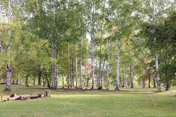 岩尾内湖白樺キャンプ場