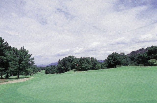 スポットの写真