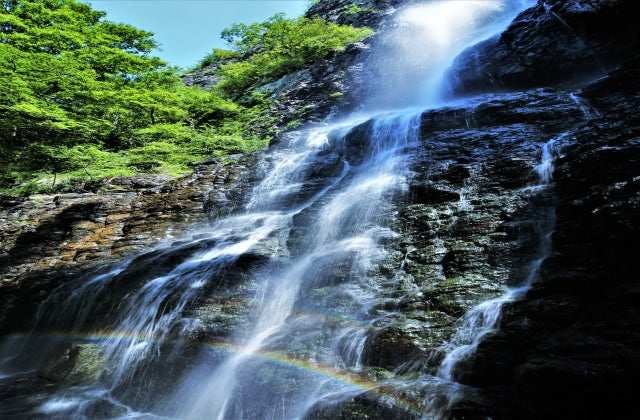 スポットの写真