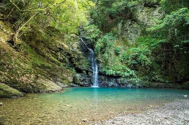 スポットの写真