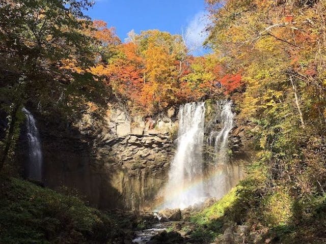 【2022年】国営滝野すずらん丘陵公園の紅葉