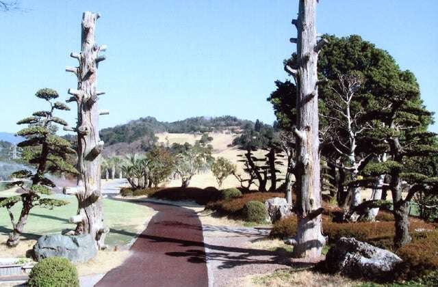 スポットの写真