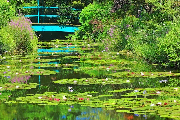 北川村「モネの庭」マルモッタン