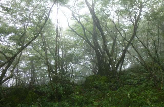 スポットの写真