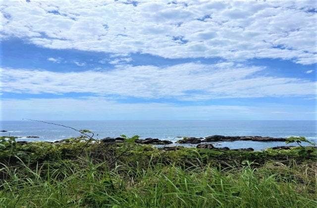 スポットの写真