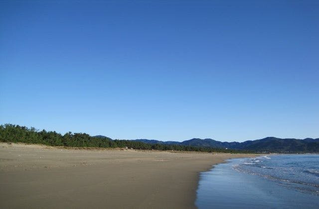 スポットの写真