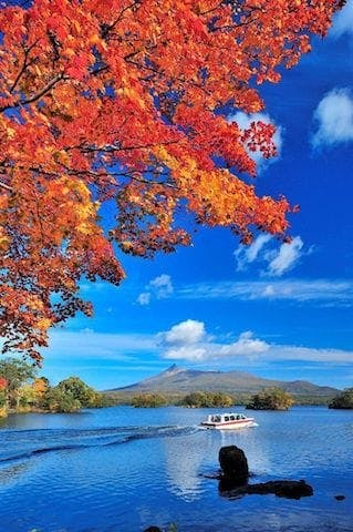 【2022年】大沼（大沼公園、月見橋、大沼湖畔）の紅葉