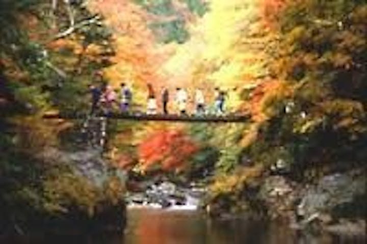 【2022年】小田深山渓谷の紅葉