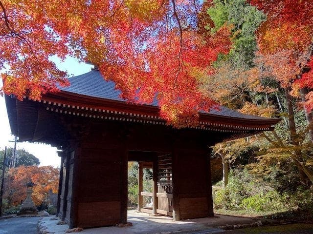 【2022年】普門寺の紅葉