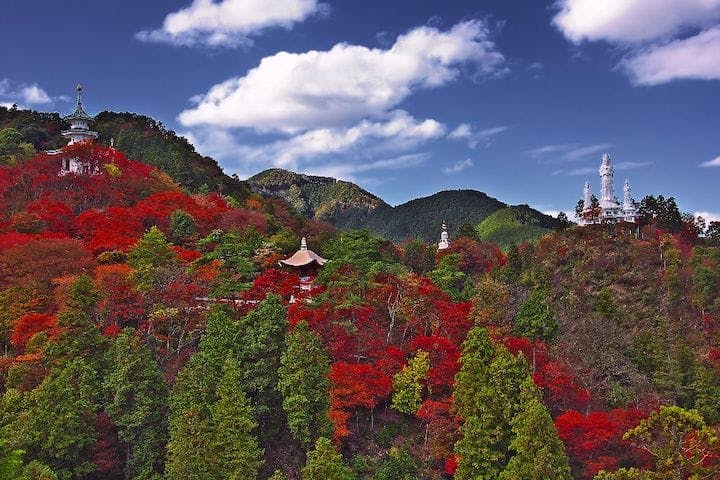 【2022年】鳥居観音の紅葉