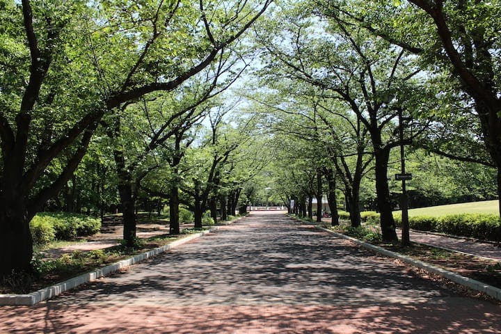 府中の森公園