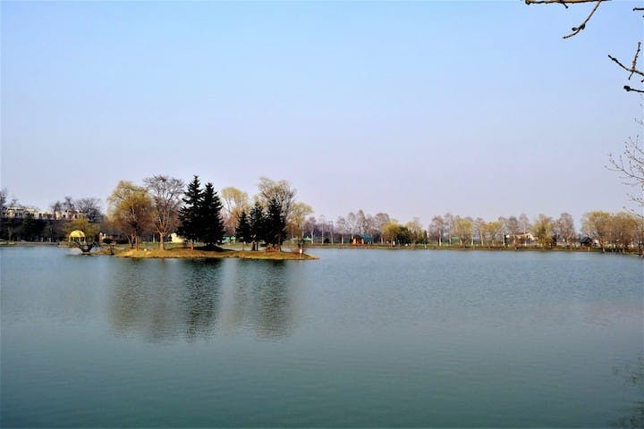 鶴沼公園キャンプ場