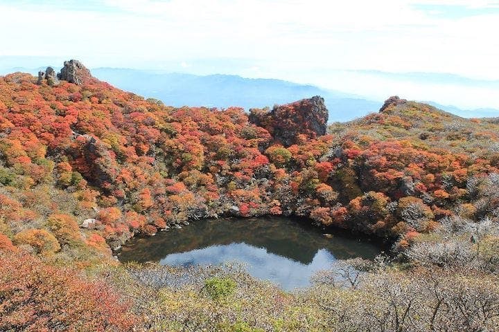 【2022年】くじゅう連山の紅葉