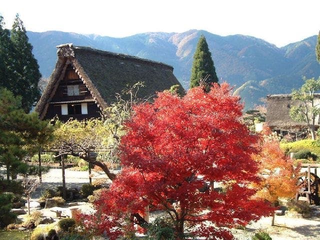 【2022年】下呂温泉の紅葉