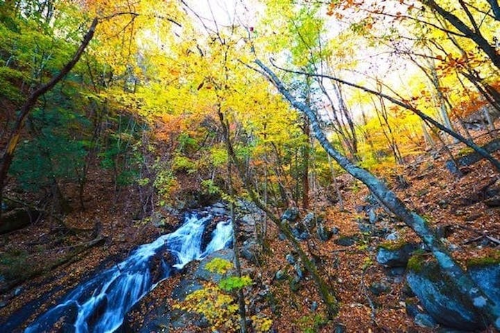 【2022年】徳和渓谷の紅葉
