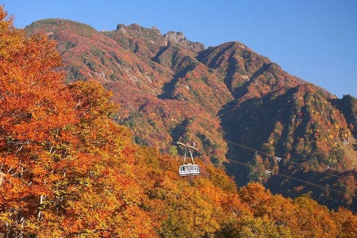 【2022年】八海山ロープウェーの紅葉