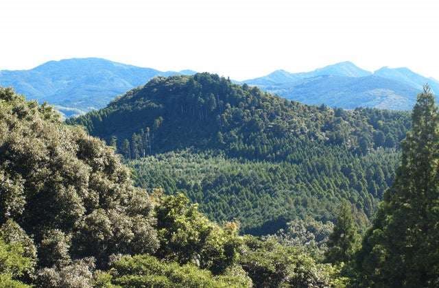 スポットの写真