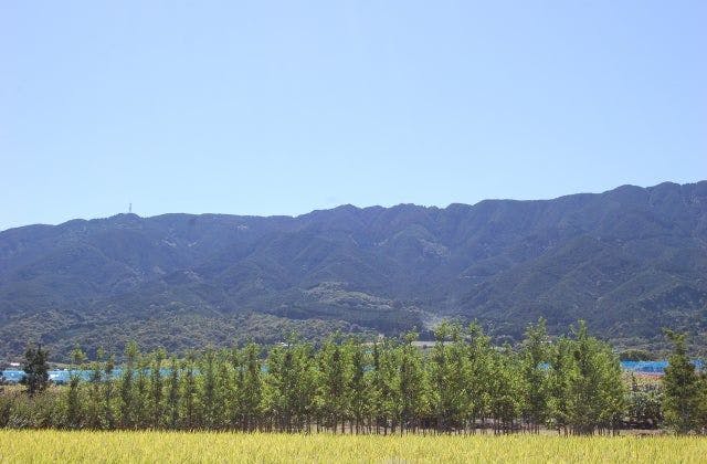 スポットの写真