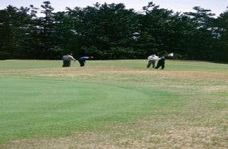 スポットの写真