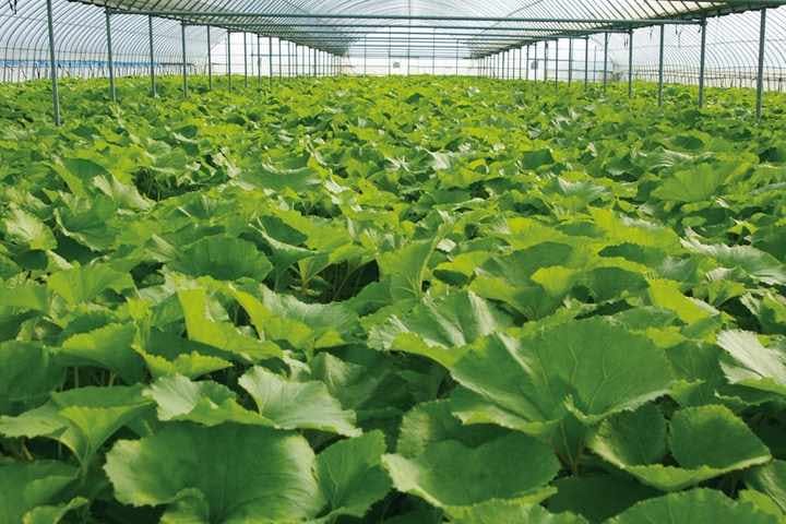 スポットの写真