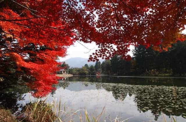 スポットの写真