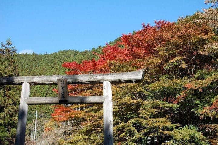 【2022年】八溝山の紅葉