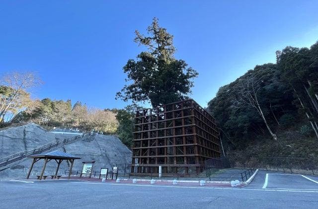 スポットの写真