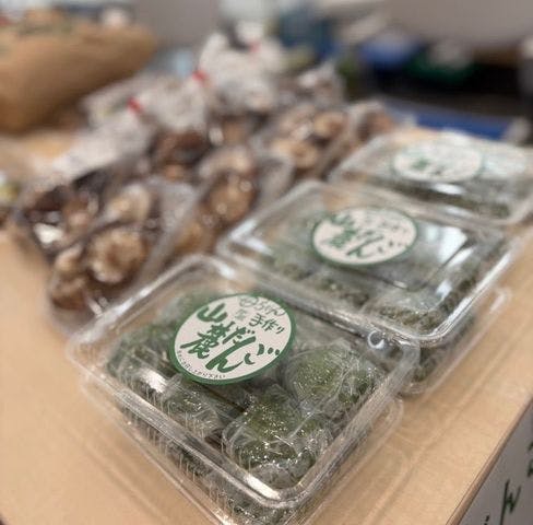 スポットの写真