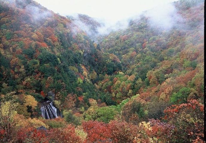【2022年】横谷峡の紅葉